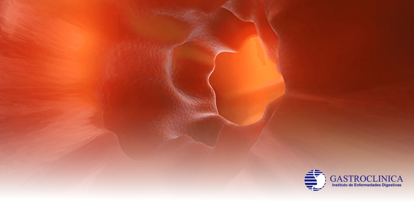 Servicio Enteroscopía